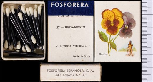 Flores de Jardin (FESA) 27