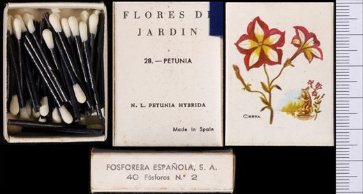 Flores de Jardin (FESA) 28