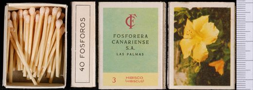 Flores (FCSA-Las Palmas) 03