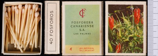 Flores (FCSA-Las Palmas) 04