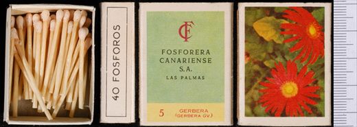 Flores (FCSA-Las Palmas) 05