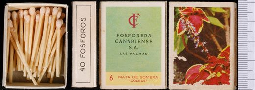 Flores (FCSA-Las Palmas) 06