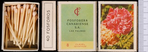 Flores (FCSA-Las Palmas) 08