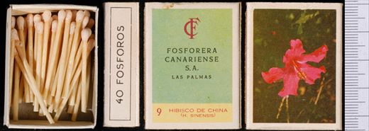 Flores (FCSA-Las Palmas) 09
