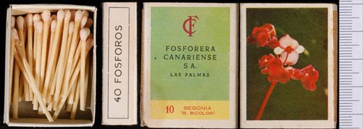 Flores (FCSA-Las Palmas) 10