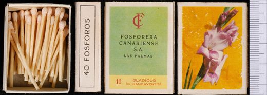 Flores (FCSA-Las Palmas) 11