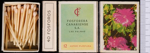 Flores (FCSA-Las Palmas) 12