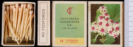 Flores (FCSA-Las Palmas) 14