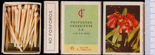 Flores (FCSA-Las Palmas) 15