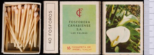 Flores (FCSA-Las Palmas) 16