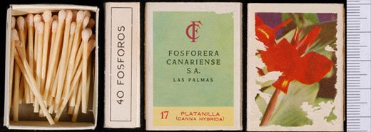 Flores (FCSA-Las Palmas) 17