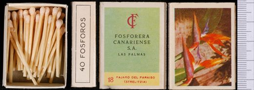 Flores (FCSA-Las Palmas) 18