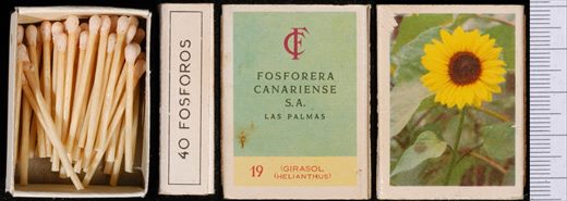 Flores (FCSA-Las Palmas) 19