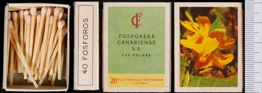 Flores (FCSA-Las Palmas) 20