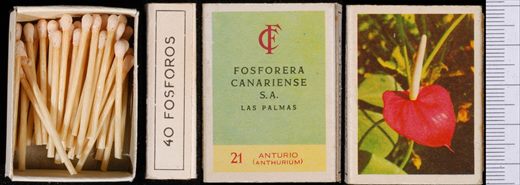 Flores (FCSA-Las Palmas) 21