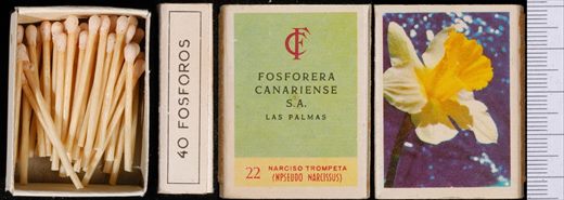Flores (FCSA-Las Palmas) 22