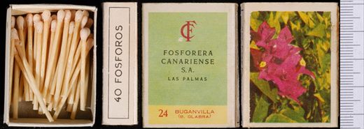 Flores (FCSA-Las Palmas) 24