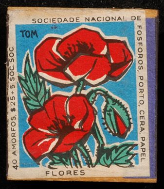 Flores (SNF-Porto) 04