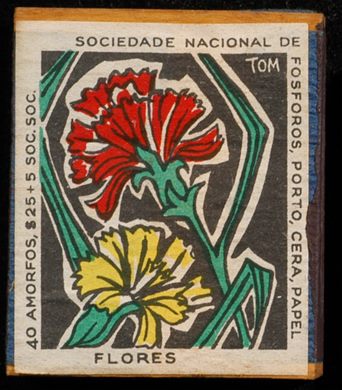 Flores (SNF-Porto) 05