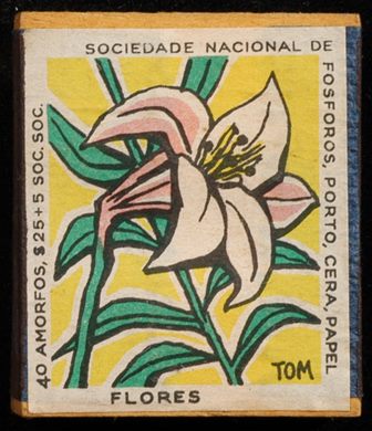 Flores (SNF-Porto) 06