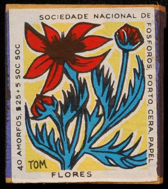 Flores (SNF-Porto) 08