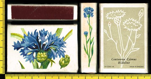 Centaurea cyanus (Blaklint)