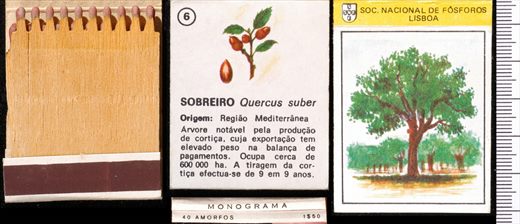 Monograma (SNF-Lisboa) 06