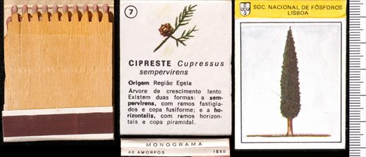 Monograma (SNF-Lisboa) 07
