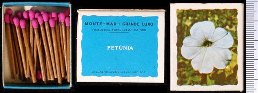 Monte-mar - Grande Luxo (FP-Espinho) 03