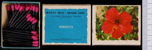 Monte-mar - Grande Luxo (FP-Espinho) 04