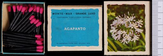 Monte-mar - Grande Luxo (FP-Espinho) 07