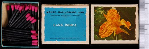 Monte-mar - Grande Luxo (FP-Espinho) 15
