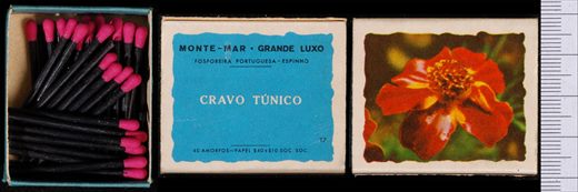 Monte-mar - Grande Luxo (FP-Espinho) 17