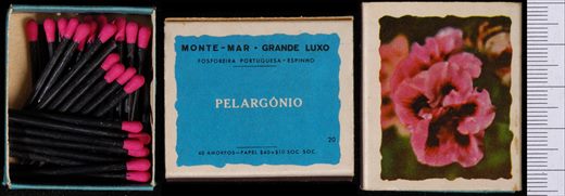 Monte-mar - Grande Luxo (FP-Espinho) 20