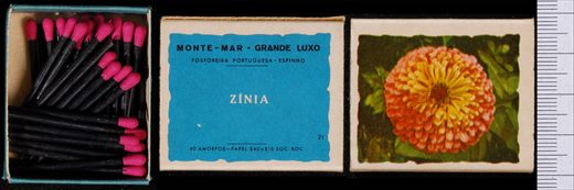 Monte-mar - Grande Luxo (FP-Espinho) 21
