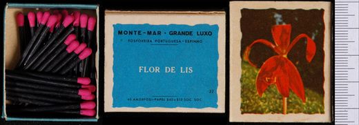 Monte-mar - Grande Luxo (FP-Espinho) 22