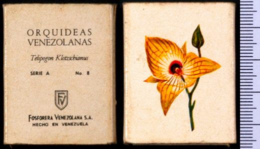 Orquideas Venezolanas (FVSA) serie A 08