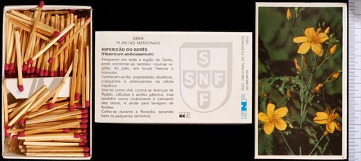 Plantas medicinais (SNF) 3