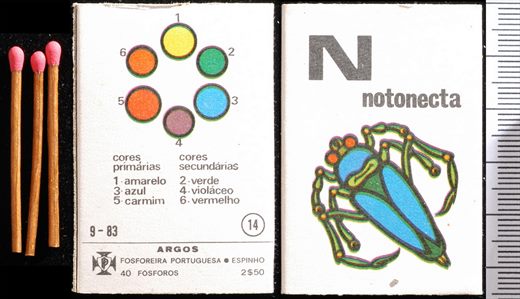 Alfabeto - Argos (FP-Espinho) 14