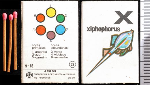 Alfabeto - Argos (FP-Espinho) 23