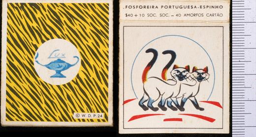 W.D.P. (FP-Espinho) 24