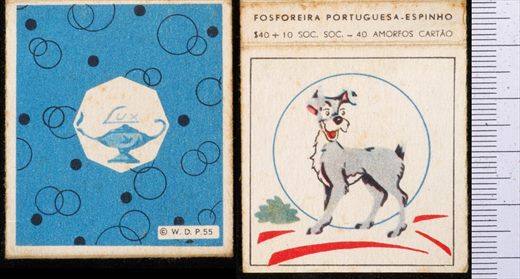 W.D.P. (FP-Espinho) 55