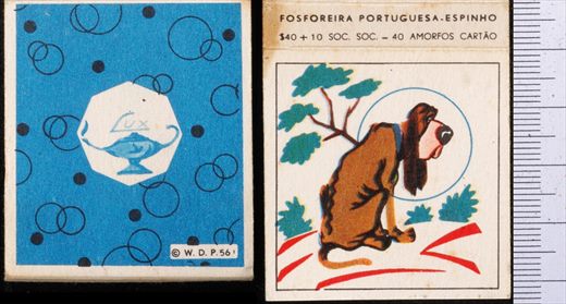 W.D.P. (FP-Espinho) 56