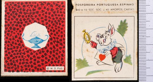 W.D.P. (FP-Espinho) 65