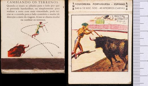 Tauromaquia - LUX (FP-Espinho) 29 (2)