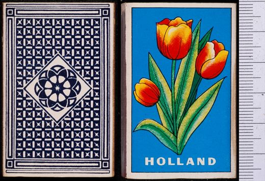 Holanda - Flores 02