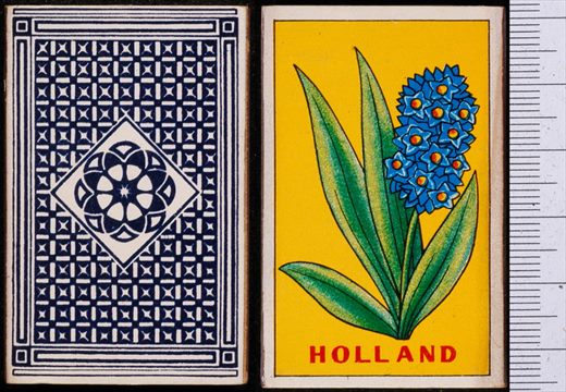 Holanda - Flores 03