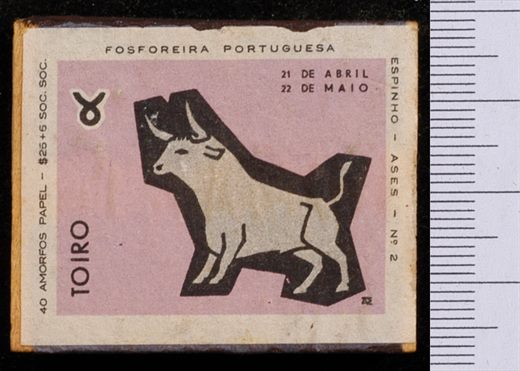 Zodiaco (FP-Espinho) rosa 02