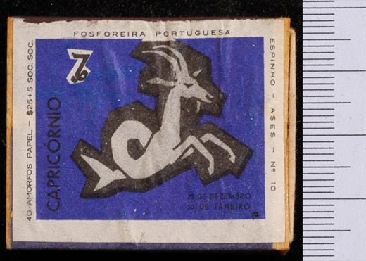 Zodiaco (FP-Espinho) roxo 10