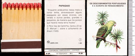 Carteira 02